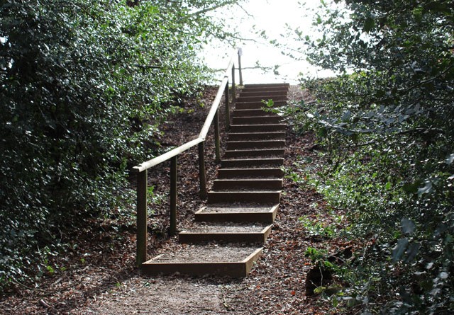 Steps to Camp